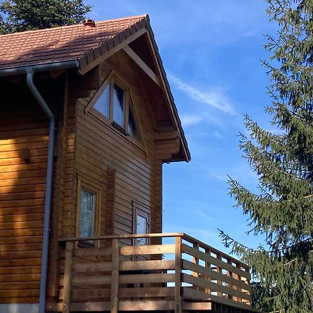 Chalet Authentique Au Calme, En Lisiere De Foret, Montagne, Sentiers 15Mn Gerardmer & Alsace "Chalet Mon Beau Sapin" Anould 외부 사진