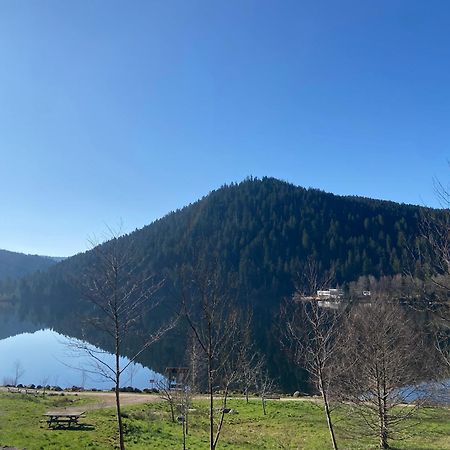 Chalet Authentique Au Calme, En Lisiere De Foret, Montagne, Sentiers 15Mn Gerardmer & Alsace "Chalet Mon Beau Sapin" Anould 외부 사진