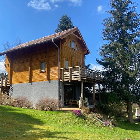 Chalet Authentique Au Calme, En Lisiere De Foret, Montagne, Sentiers 15Mn Gerardmer & Alsace "Chalet Mon Beau Sapin" Anould 외부 사진