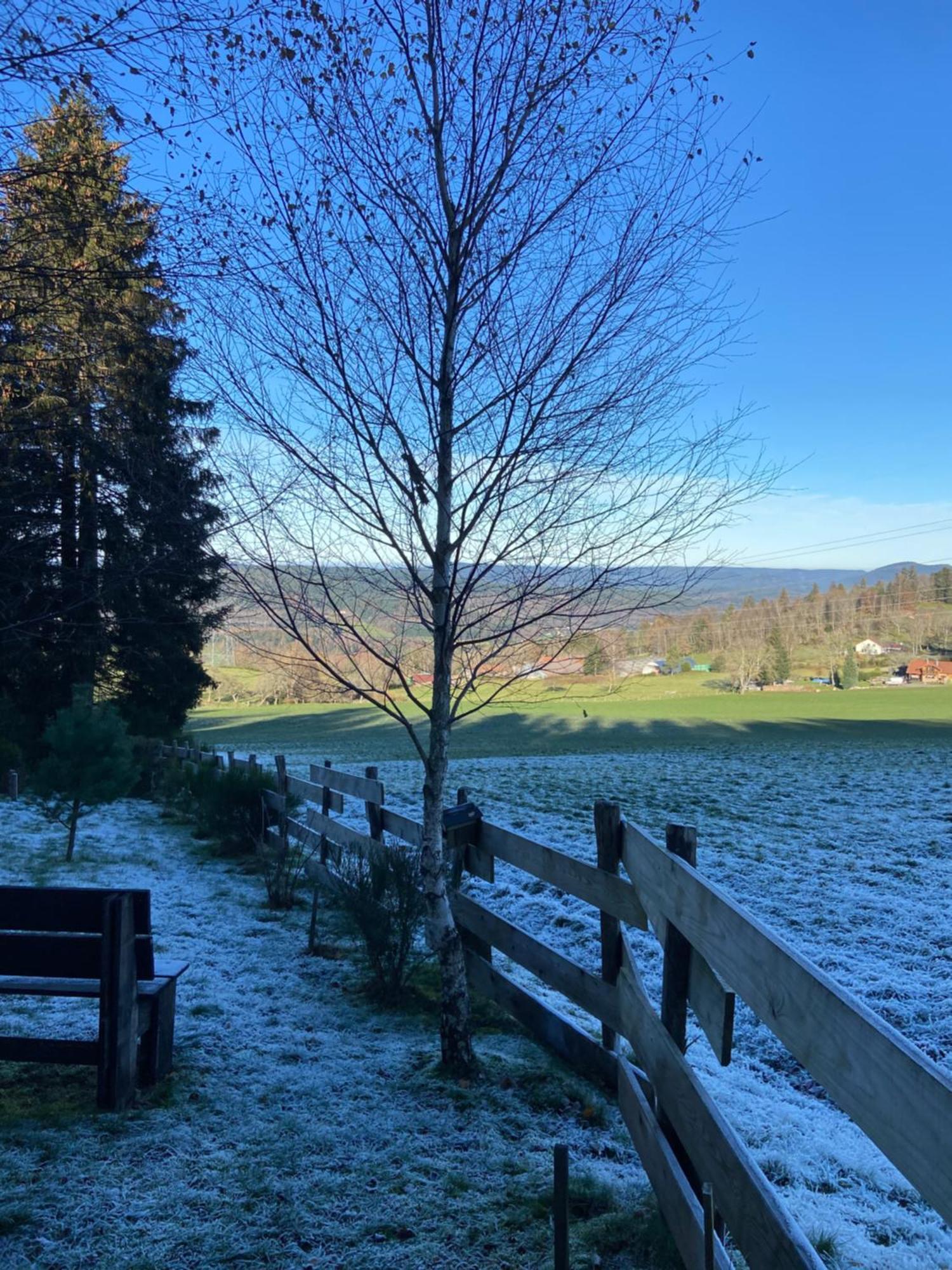 Anould Chalet Chaleureux Avec Cheminee Et Vue Montagne Proche Gerardmer "Mon Beau Sapin" 빌라 외부 사진