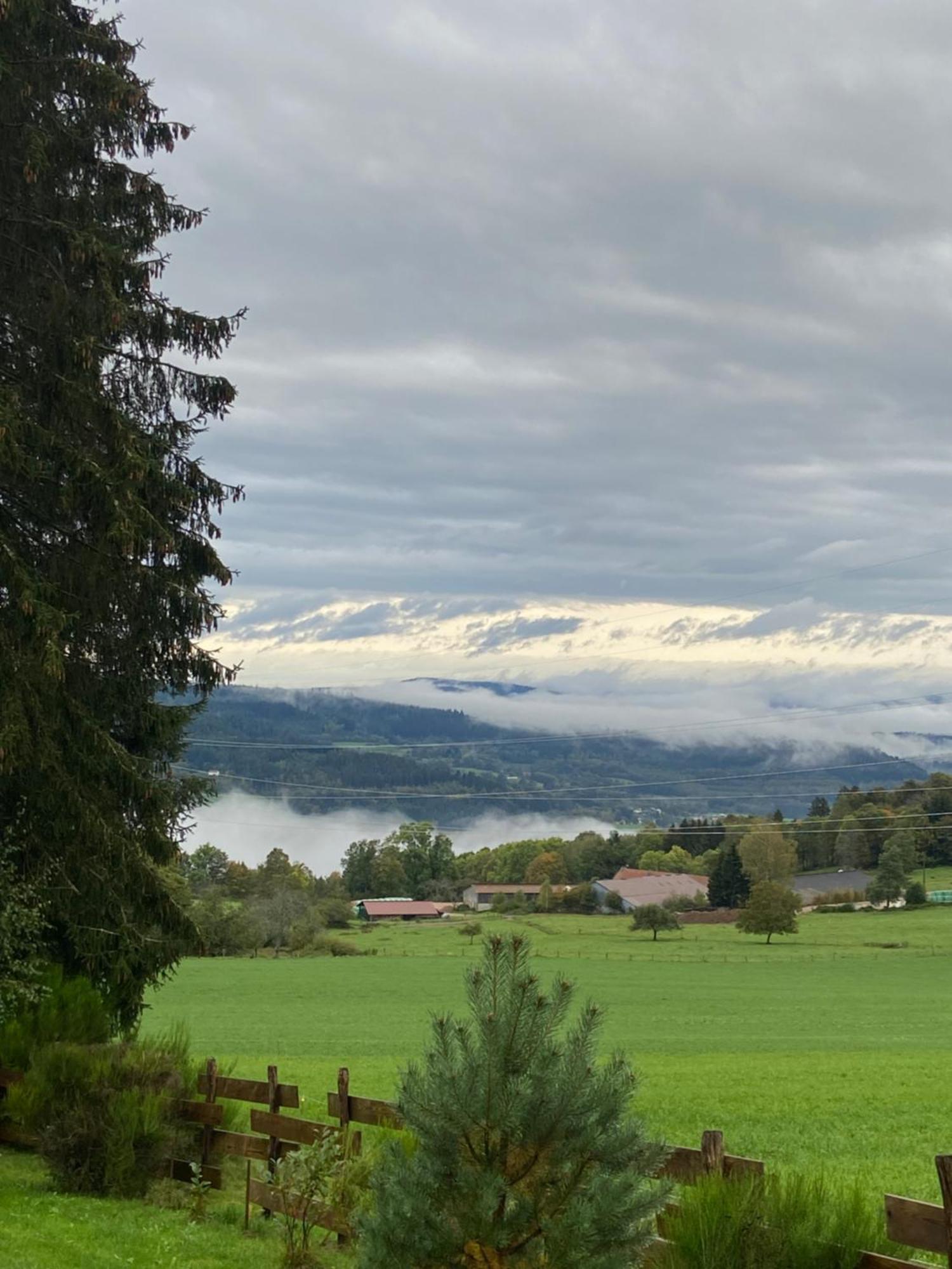 Anould Chalet Chaleureux Avec Cheminee Et Vue Montagne Proche Gerardmer "Mon Beau Sapin" 빌라 외부 사진