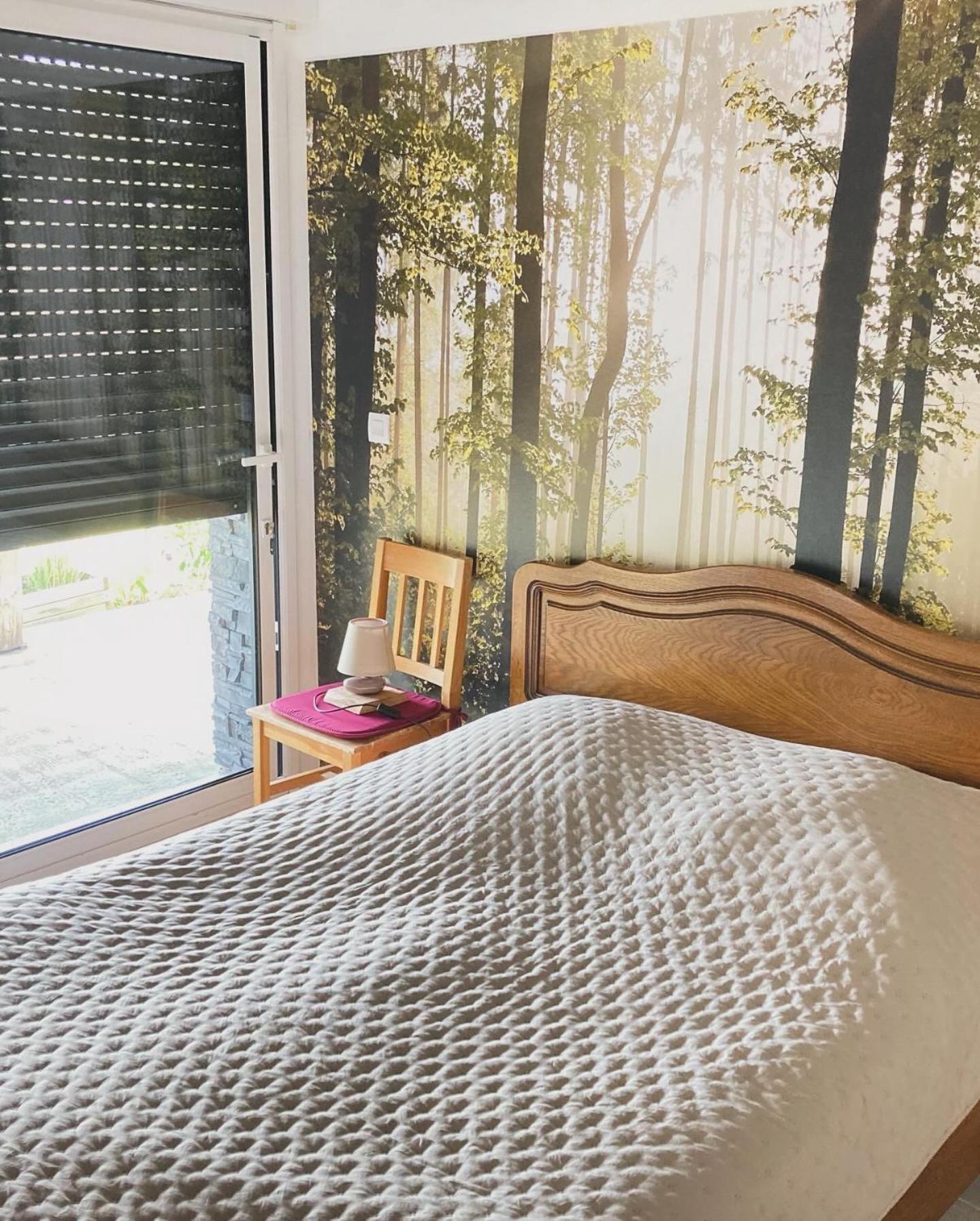 Chalet Authentique Au Calme, En Lisiere De Foret, Montagne, Sentiers 15Mn Gerardmer & Alsace "Chalet Mon Beau Sapin" Anould 외부 사진