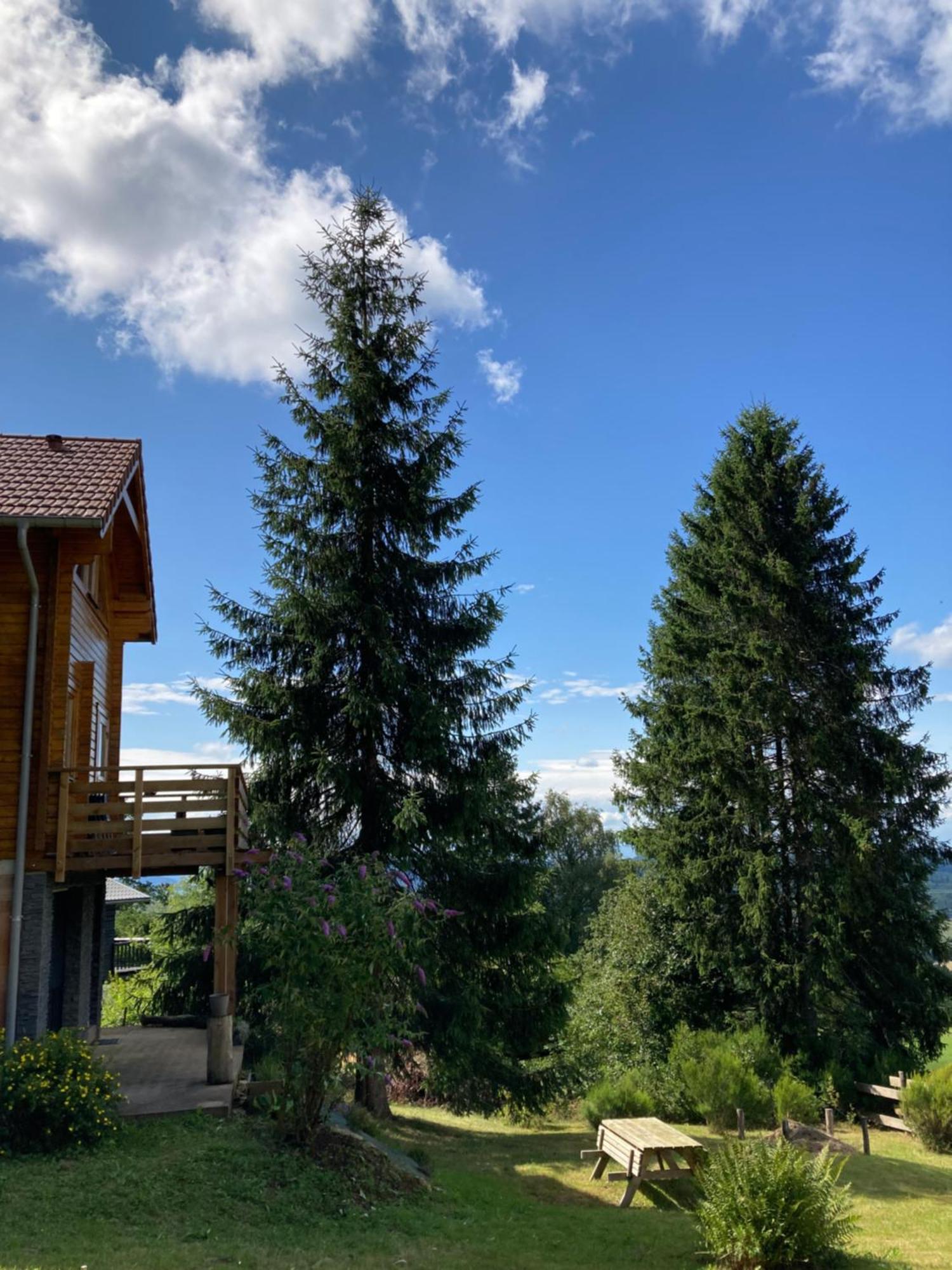 Anould Chalet Chaleureux Avec Cheminee Et Vue Montagne Proche Gerardmer "Mon Beau Sapin" 빌라 외부 사진