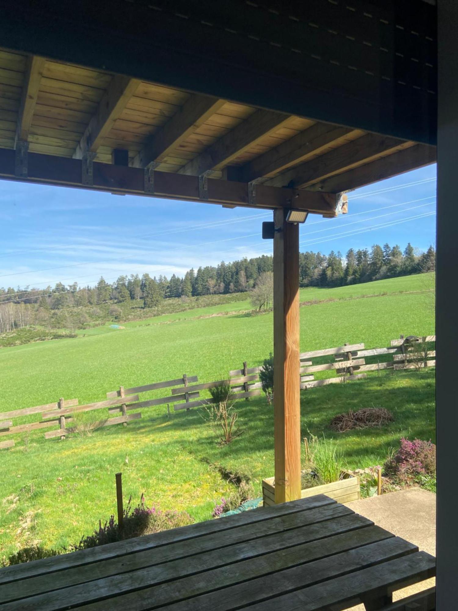 Anould Chalet Chaleureux Avec Cheminee Et Vue Montagne Proche Gerardmer "Mon Beau Sapin" 빌라 외부 사진