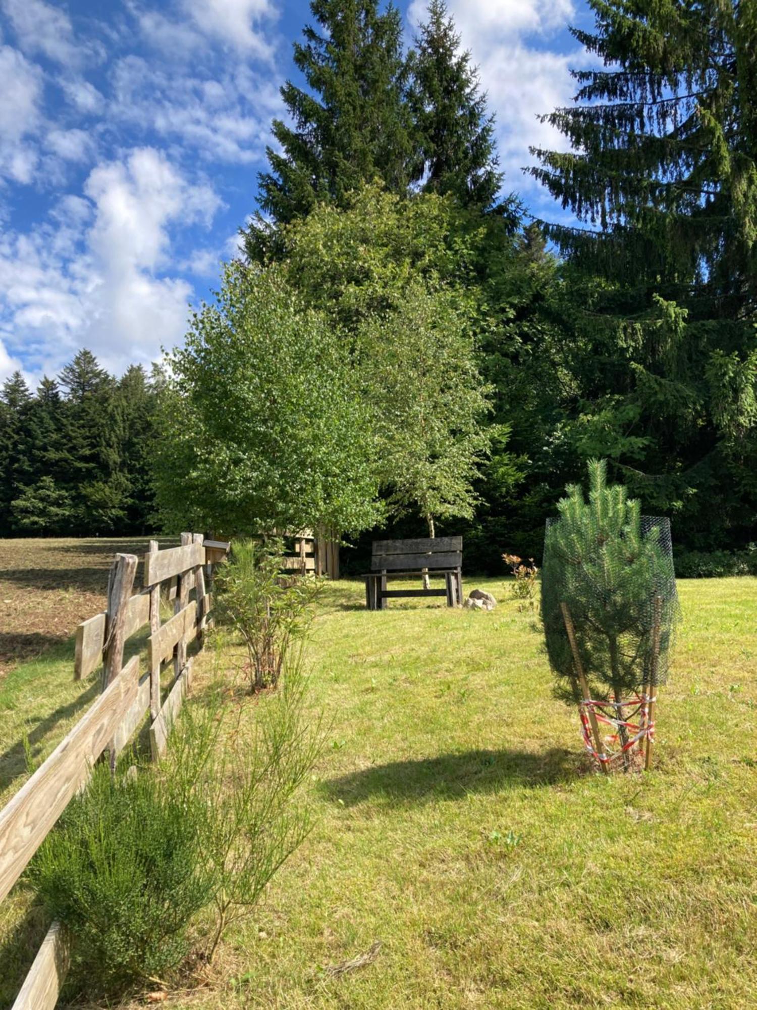 Chalet Authentique Au Calme, En Lisiere De Foret, Montagne, Sentiers 15Mn Gerardmer & Alsace "Chalet Mon Beau Sapin" Anould 외부 사진