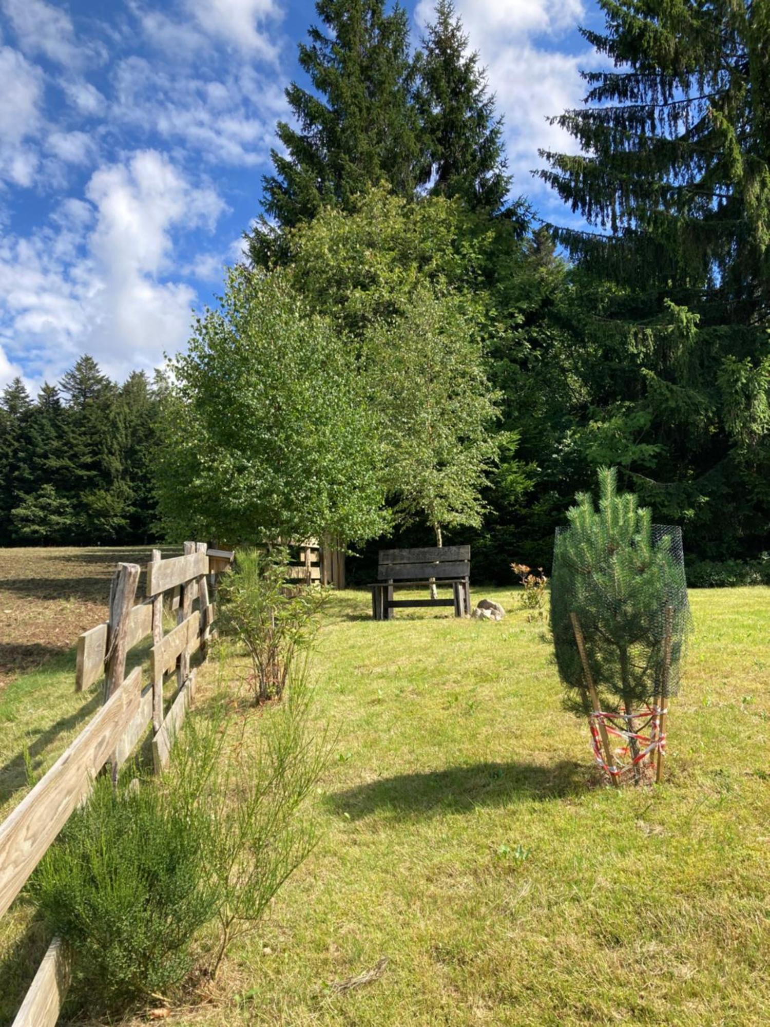 Anould Chalet Chaleureux Avec Cheminee Et Vue Montagne Proche Gerardmer "Mon Beau Sapin" 빌라 외부 사진