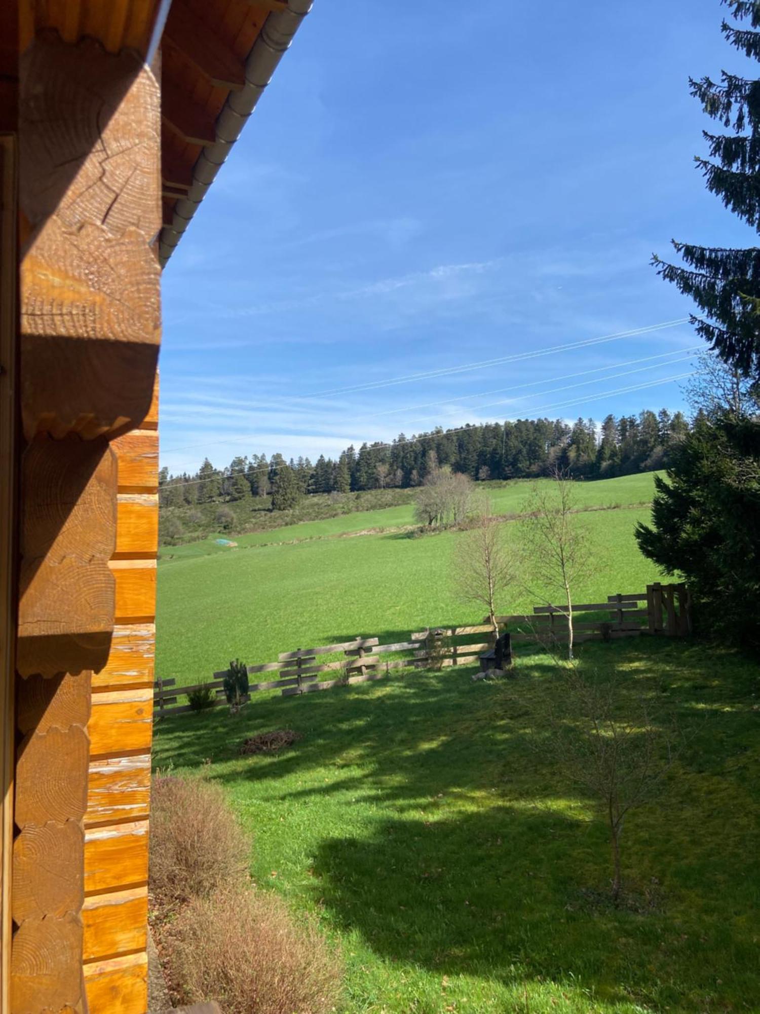 Anould Chalet Chaleureux Avec Cheminee Et Vue Montagne Proche Gerardmer "Mon Beau Sapin" 빌라 외부 사진