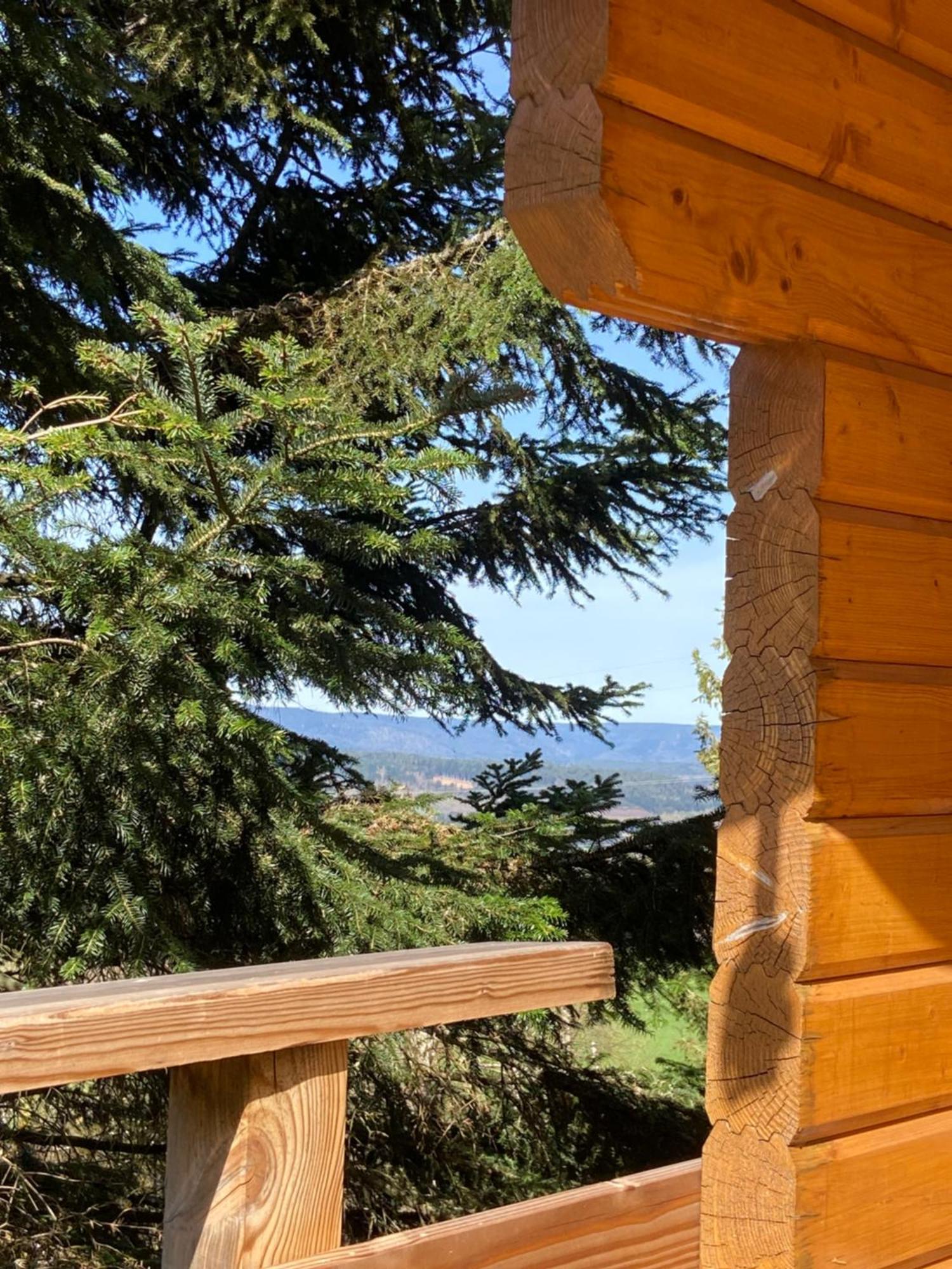 Anould Chalet Chaleureux Avec Cheminee Et Vue Montagne Proche Gerardmer "Mon Beau Sapin" 빌라 외부 사진