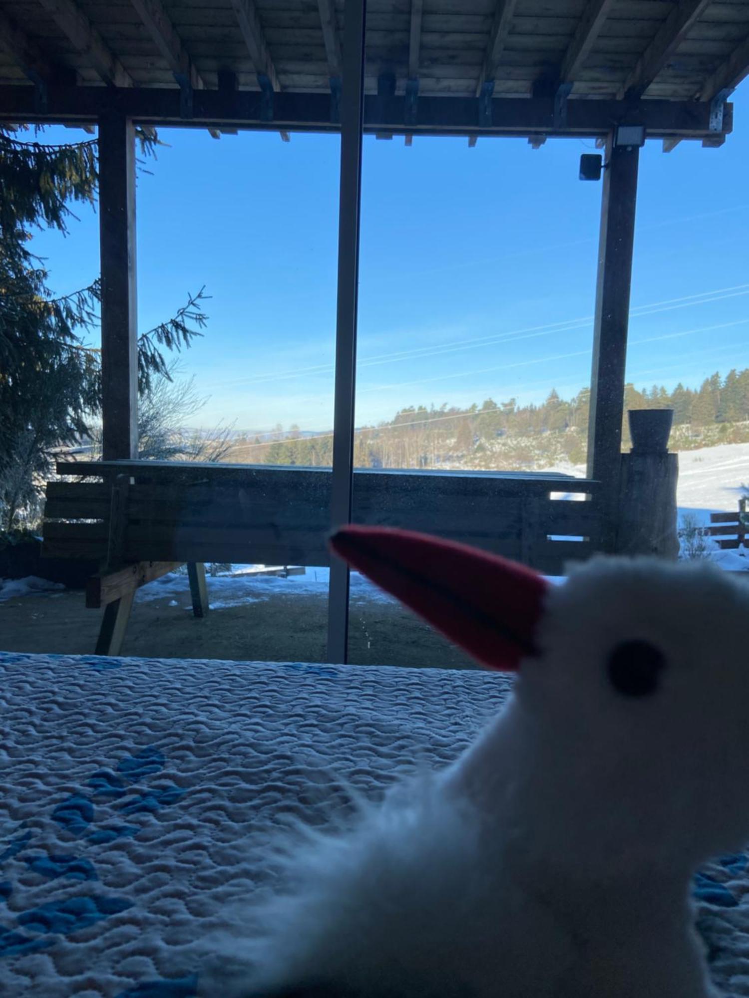 Anould Chalet Chaleureux Avec Cheminee Et Vue Montagne Proche Gerardmer "Mon Beau Sapin" 빌라 외부 사진