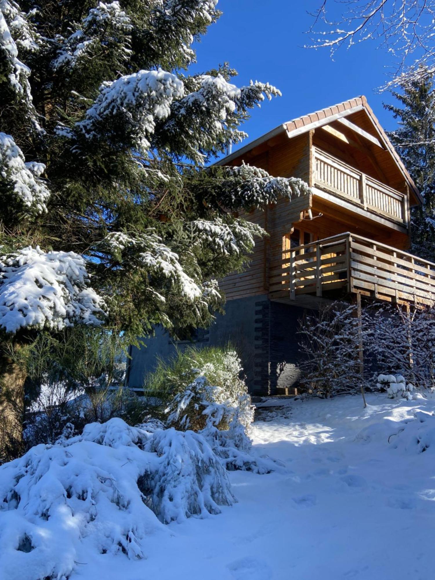 Chalet Authentique Au Calme, En Lisiere De Foret, Montagne, Sentiers 15Mn Gerardmer & Alsace "Chalet Mon Beau Sapin" Anould 외부 사진