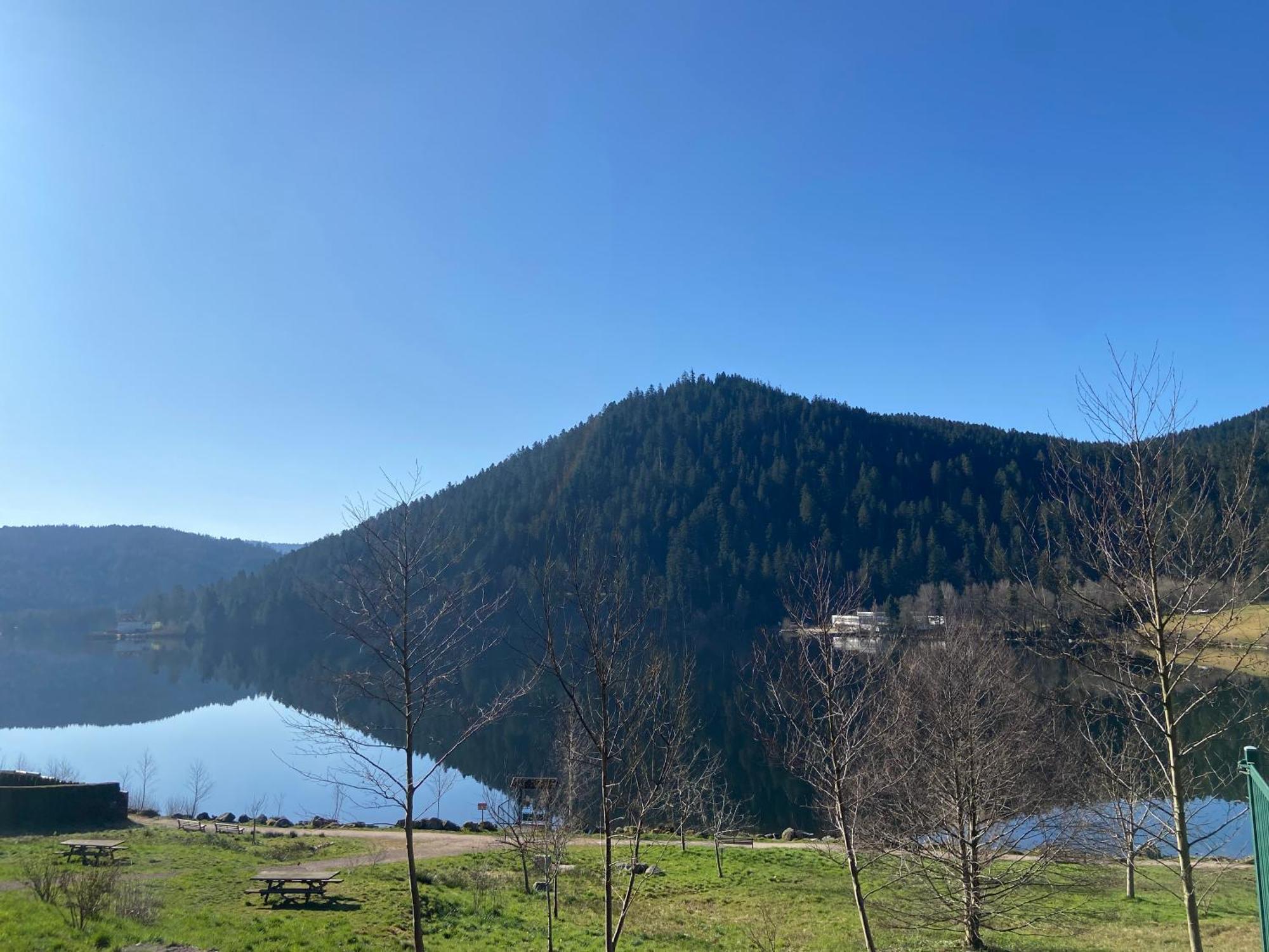 Chalet Authentique Au Calme, En Lisiere De Foret, Montagne, Sentiers 15Mn Gerardmer & Alsace "Chalet Mon Beau Sapin" Anould 외부 사진