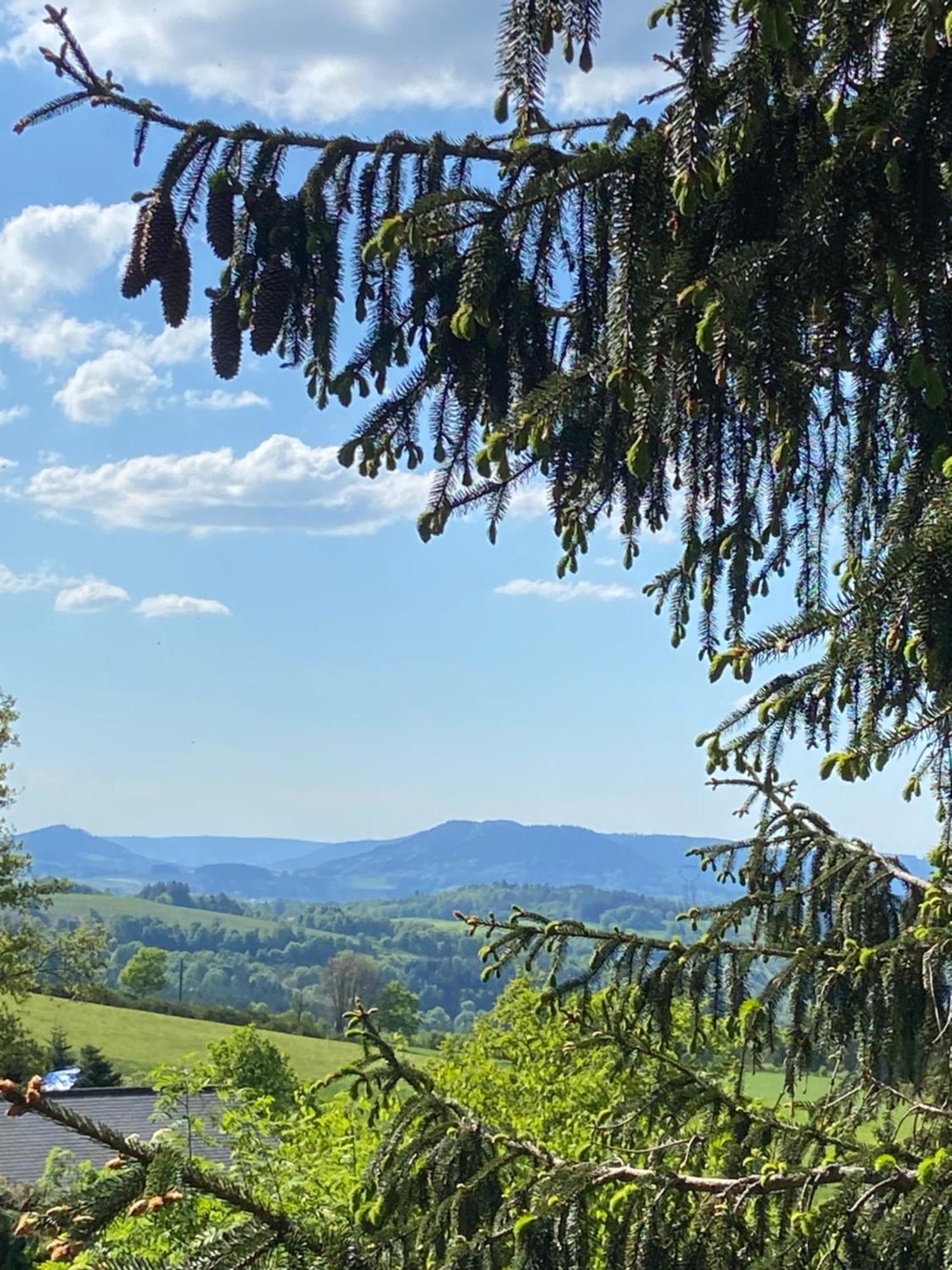 Chalet Authentique Au Calme, En Lisiere De Foret, Montagne, Sentiers 15Mn Gerardmer & Alsace "Chalet Mon Beau Sapin" Anould 외부 사진