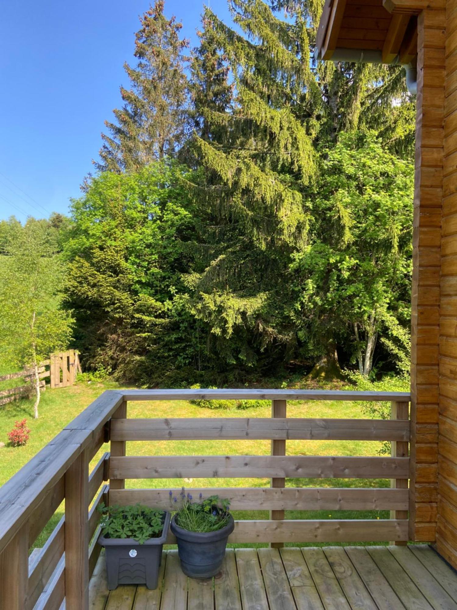 Chalet Authentique Au Calme, En Lisiere De Foret, Montagne, Sentiers 15Mn Gerardmer & Alsace "Chalet Mon Beau Sapin" Anould 외부 사진